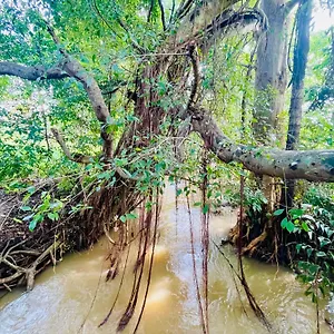 River Side , Sigiriya Sri Lanka